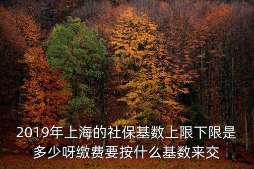 2019年上海的社保基數上限下限是多少呀繳費要按什么基數來交