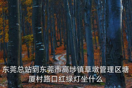 東莞市高步鎮(zhèn)草墩，東莞市高步鎮(zhèn)草墩村工業(yè)區(qū)