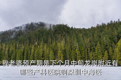 我老婆預產期是下個月中旬龍崗附近有哪些產科醫院啊深圳中海醫