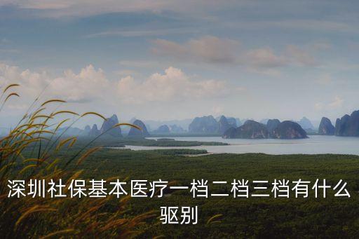 深圳社保基本醫療一檔二檔三檔有什么驅別