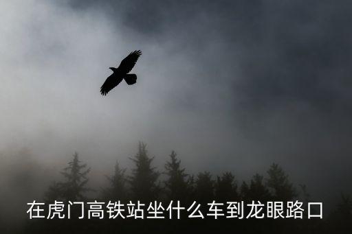 在虎門高鐵站坐什么車到龍眼路口