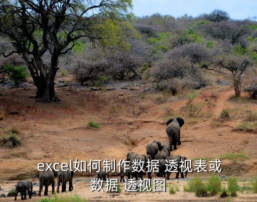 excel透視表,數據透視表怎么做?一文看懂