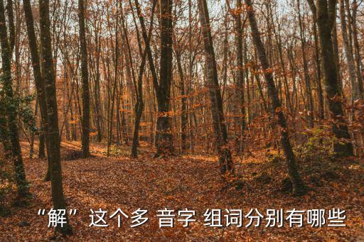 囊的多音字組詞,處多音字組詞:處第四聲好處第三聲!
