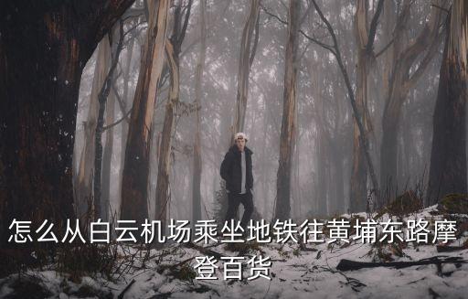 廣州黃埔摩登機(jī)場快線，黃埔大沙地空港快線
