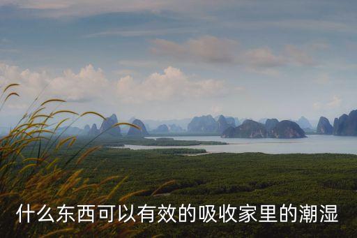 什么東西可以有效的吸收家里的潮濕