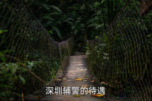 深圳輔警的待遇