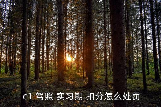 c1駕照實習期扣分規定,怎么查當天有沒有闖紅燈