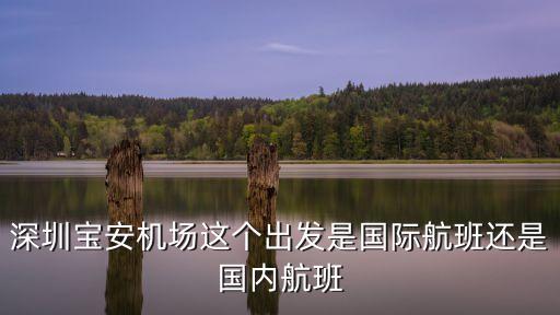深圳t3 cip 國際出發，深圳有到美國的航班嗎