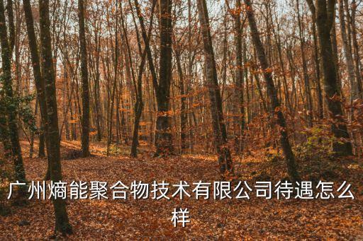 廣州熵能聚合物技術有限公司待遇怎么樣