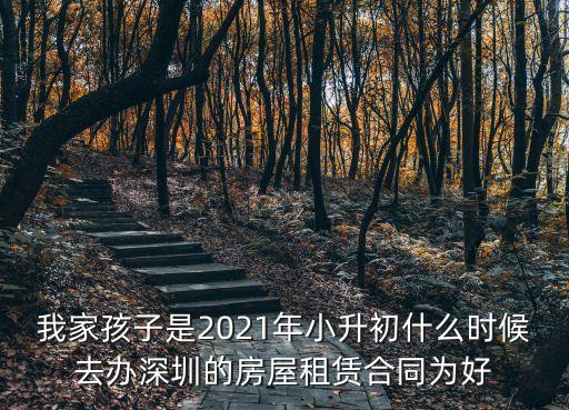 代辦租賃合同深圳石巖，深圳石巖租房