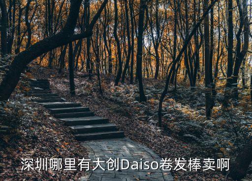 深圳哪里有大創Daiso卷發棒賣啊
