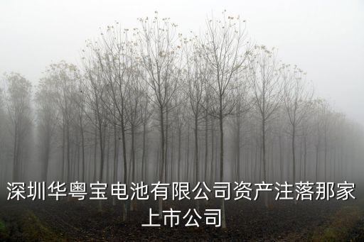 深圳華粵寶電池有限公司資產注落那家上市公司