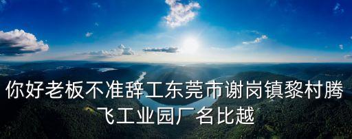 東莞謝崗鎮黎村口罩廠，東莞市謝崗鎮現在有哪些大型的企業