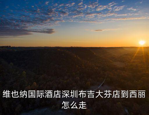 維也納酒店深圳布吉，維也納國際酒店深圳布吉大芬店到西麗怎么走