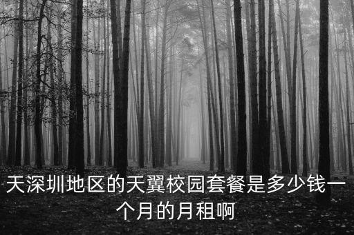 深圳大學(xué)校園電信套餐，天深圳地區(qū)的天翼校園套餐是多少錢一個(gè)月的月租啊
