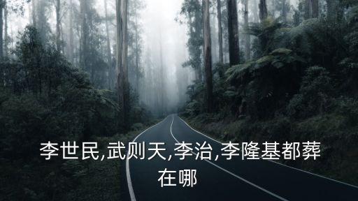 李世民墓,唐太宗李世民昭陵是關(guān)中十八陵中最大的一座陵墓