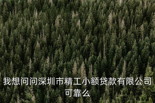 我想問問深圳市精工小額貸款有限公司可靠么