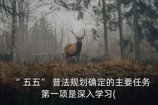 “ 五五” 普法規劃確定的主要任務第一項是深入學習(