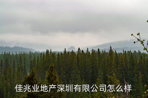 佳兆業地產深圳有限公司怎么樣