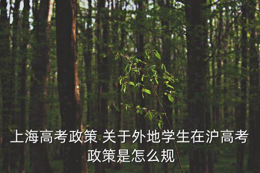 上海高考政策 關于外地學生在滬高考 政策是怎么規