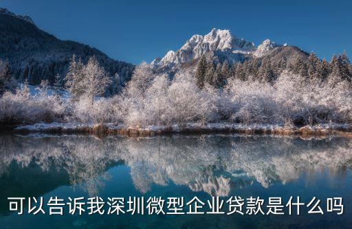 可以告訴我深圳微型企業(yè)貸款是什么嗎