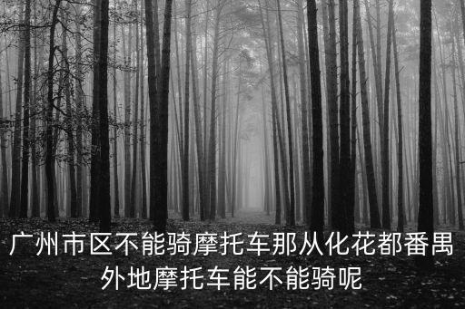 廣州禁摩政策，廣州開放摩托車政策