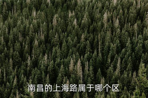 南昌的上海路屬于哪個區(qū)