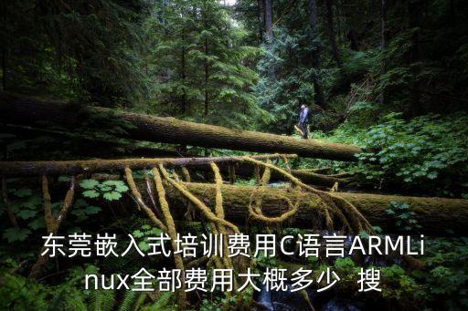 東莞電路板培訓(xùn)班價(jià)格，你好請(qǐng)問一下東莞富華電子有限公司最近是否有個(gè)培訓(xùn)而且一年學(xué)
