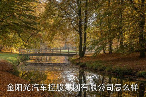 廣州金陽光，光大證券金陽光