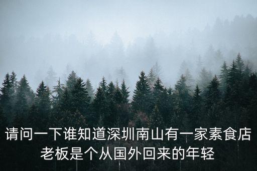 請問一下誰知道深圳南山有一家素食店老板是個從國外回來的年輕