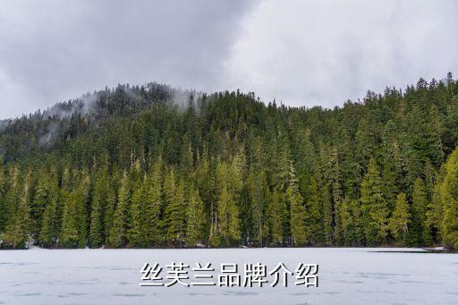 絲芙蘭品牌介紹