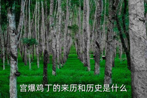 宮保雞丁的由來,宮保雞丁的由來