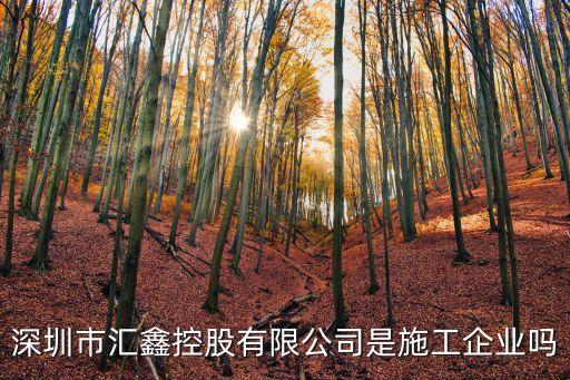 深圳市星匯鑫投資有限公司，你好請問深圳有一家深圳市星匯鑫投資有限公司