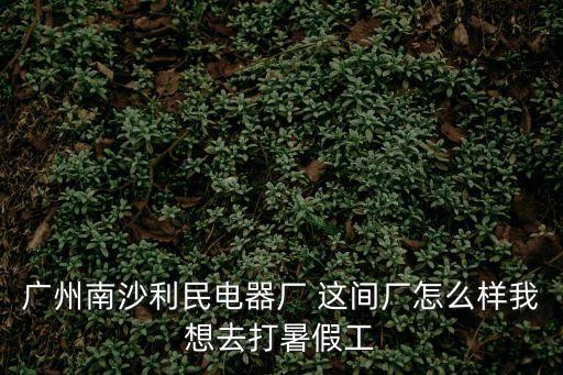 廣州南沙利民電器廠 這間廠怎么樣我想去打暑假工