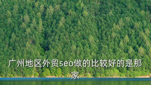 廣州地區(qū)外貿(mào)seo做的比較好的是那家
