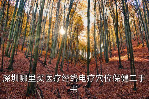 深圳哪里買醫(yī)療經(jīng)絡(luò)電療穴位保健二手書