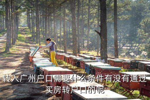 轉入廣州戶口需要什么條件有沒有通過買房轉戶口的呢