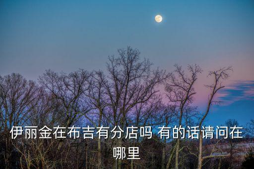 深圳伊麗金，伊麗金在布吉有分店嗎 有的話請問在哪里