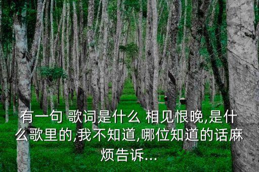 有一句 歌詞是什么 相見(jiàn)恨晚,是什么歌里的,我不知道,哪位知道的話麻煩告訴...