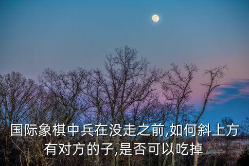 國際象棋中兵在沒走之前,如何斜上方有對(duì)方的子,是否可以吃掉