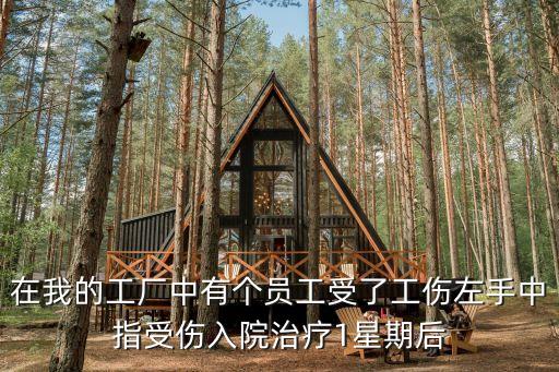 在我的工廠中有個(gè)員工受了工傷左手中指受傷入院治療1星期后