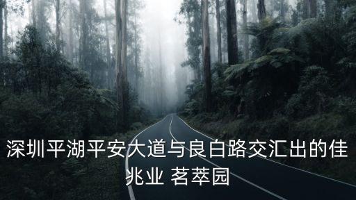 深圳平湖平安大道與良白路交匯出的佳兆業 茗萃園
