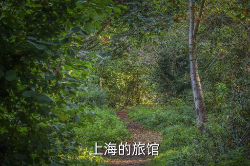 上海市的旅館，上海的旅館