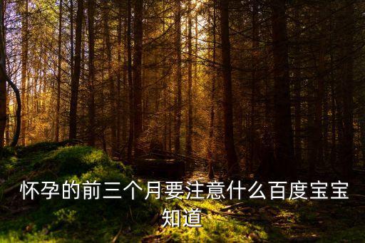  懷孕的前三個月要注意什么百度寶寶知道
