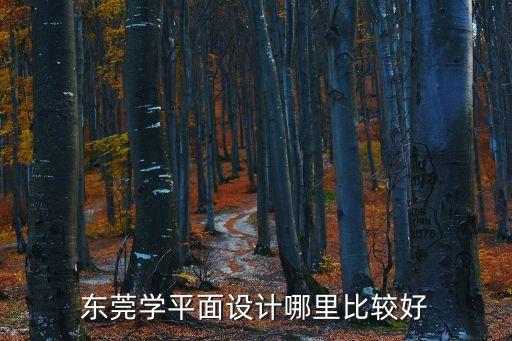 東莞學平面設計哪里比較好