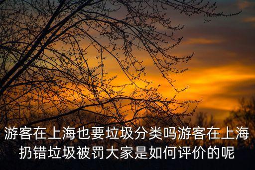 游客在上海也要垃圾分類嗎游客在上海扔錯垃圾被罰大家是如何評價的呢