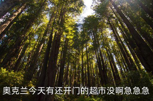 奧克蘭今天有還開門的超市沒啊急急急