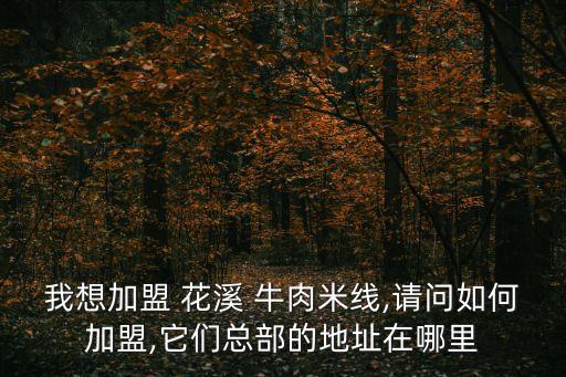 花溪王記牛肉粉,花溪牛肉粉泡蓮花白做法惹人愛