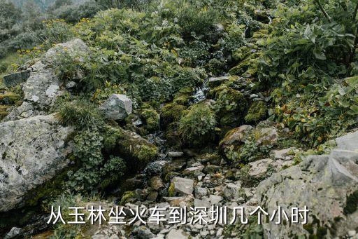 玉林到深圳動車嗎，深圳有動車到廣西玉林市轄區(qū)內(nèi)嗎