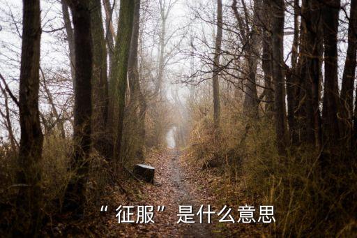 征服近義詞,征服的含義是什么?